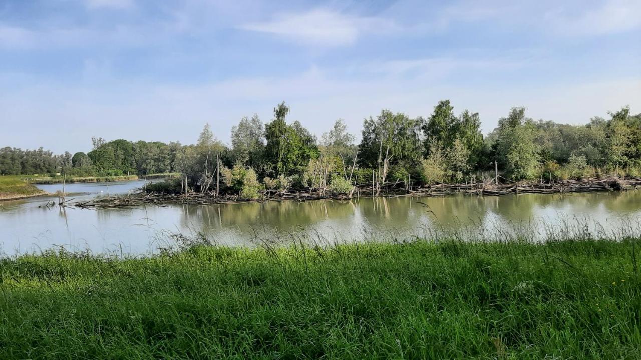 فيركيندام Biesboschbest المظهر الخارجي الصورة